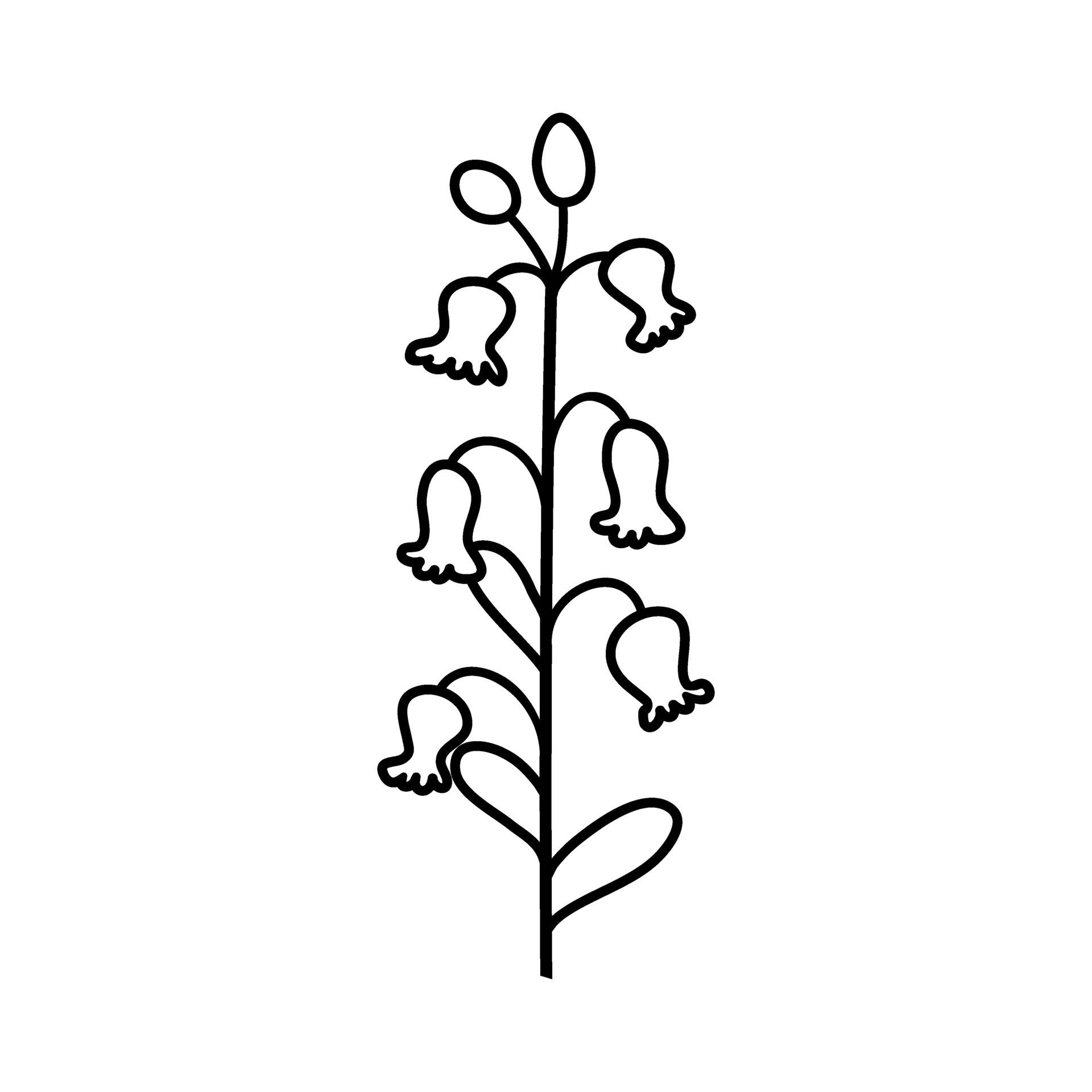 Wildflowers icon vector set. Wild flowers illustration sign collection.  Flower symbol. Garden logo. 27429961 Vector Art at Vecteezy