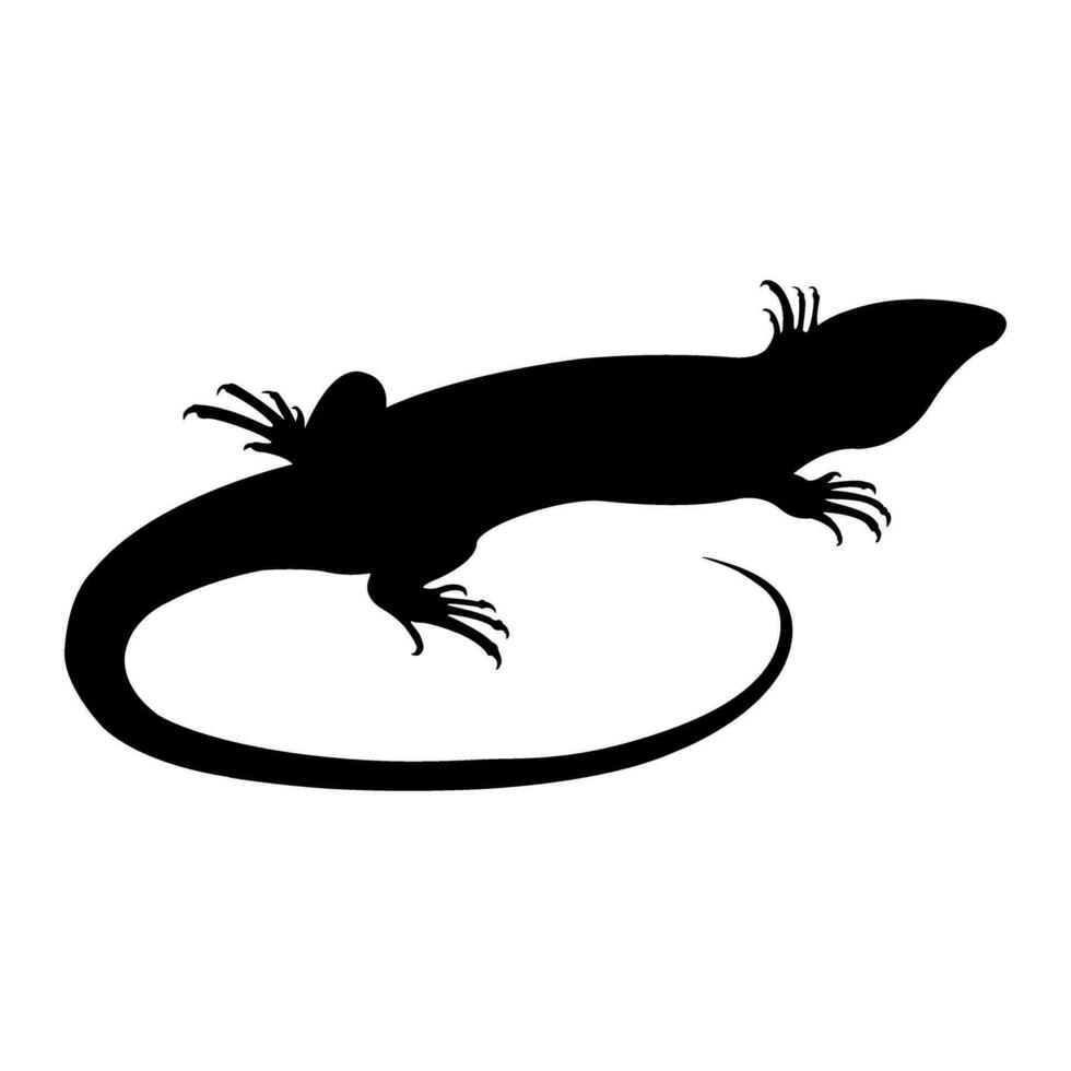 Lizard icon vector. Reptile illustration sign. cold blooded symbol or logo. vector
