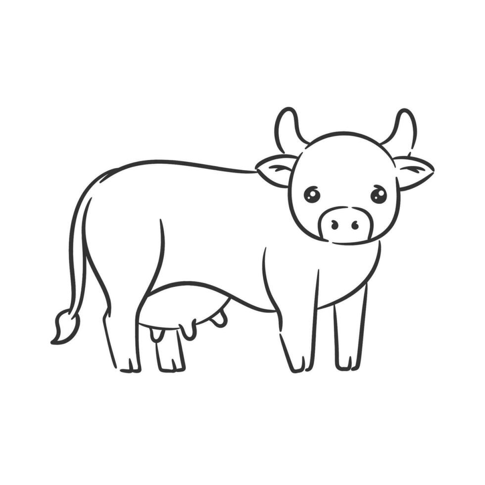 Hand drawn cute dairy cow for coloring vector