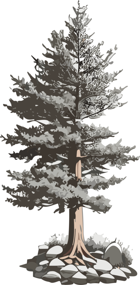 Pine Tree Reverie A Visual Voyage into Natural Harmony AI generative png