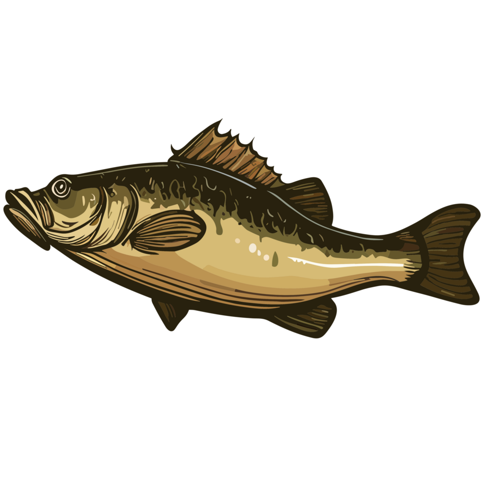 Fish transparent background,AI Generative 27434070 PNG