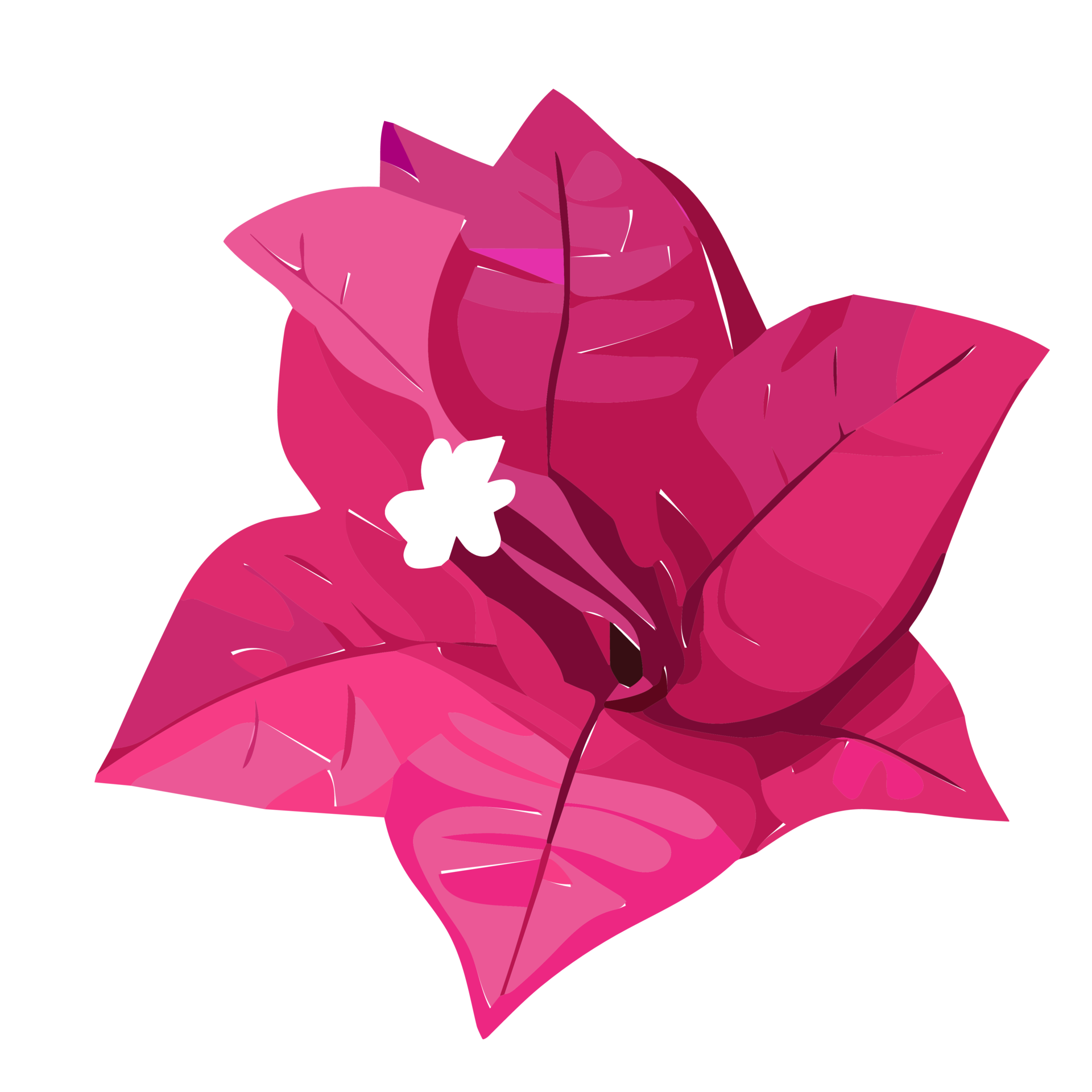 Bougainvillea flower transparent background,Ai Generative 27434091 PNG