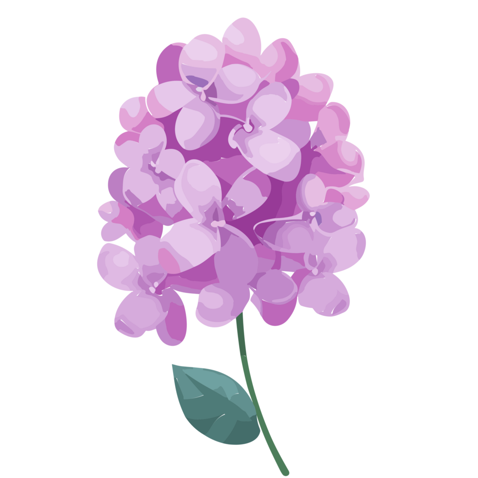 Lilac flower transparent background,Ai Generative png