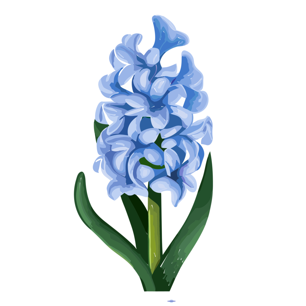 Hyacinth Flower Transparent Background Ai Generative 27434171 PNG hyacinth-flower-transparent-background-ai-generative-27434171-png