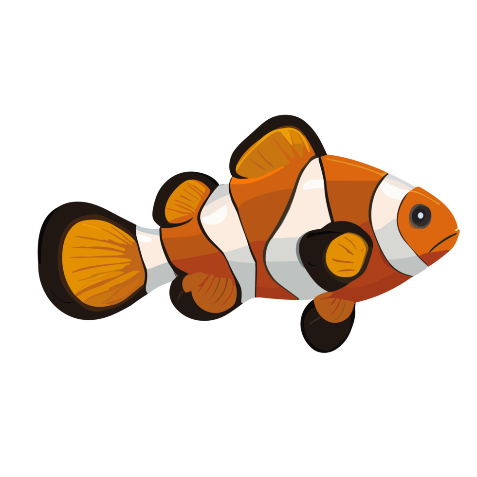 Clown fish transparent background,AI Generative 27434199 PNG