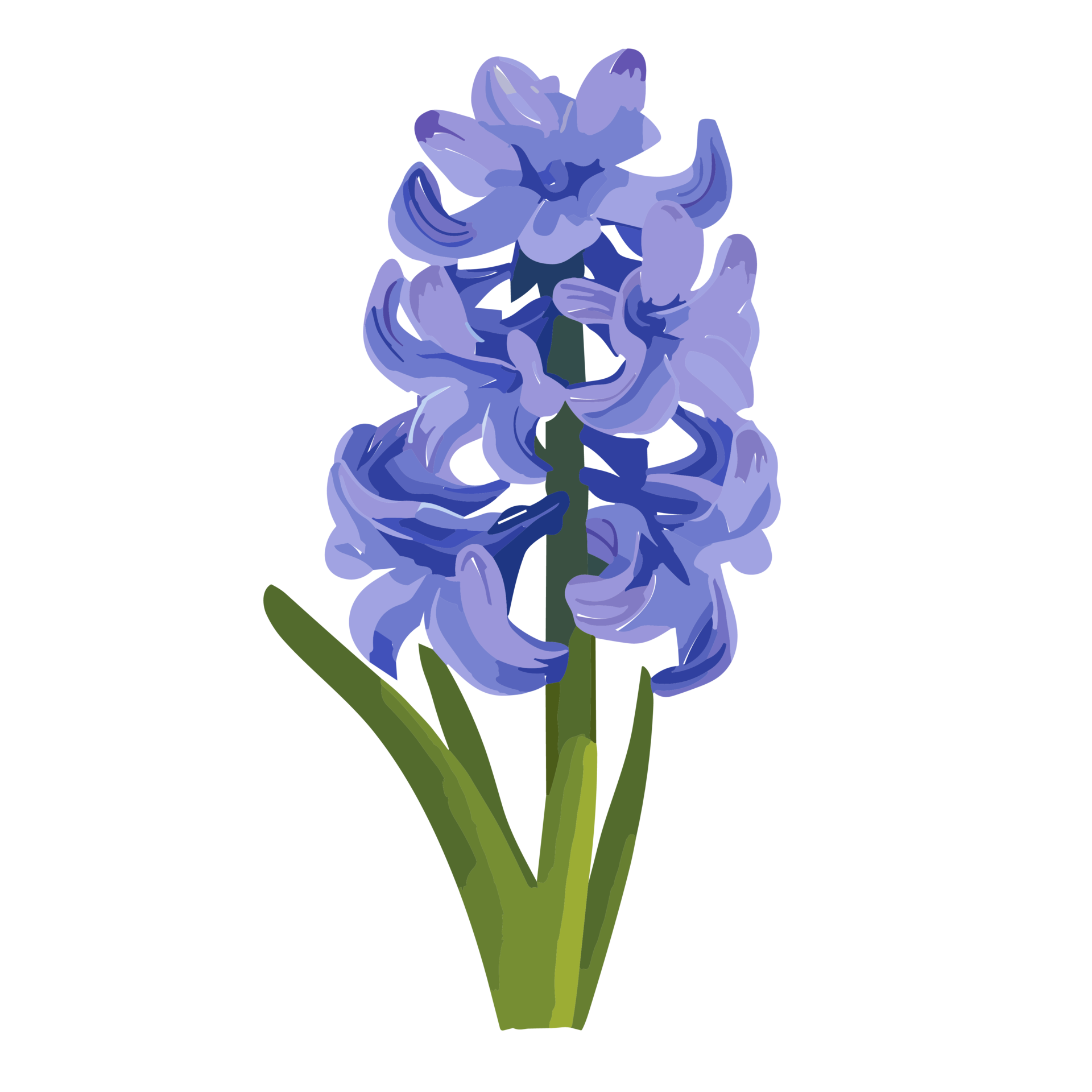 Hyacinth Flower Transparent Background Ai Generative 27434231 PNG hyacinth-flower-transparent-background-ai-generative-27434231-png