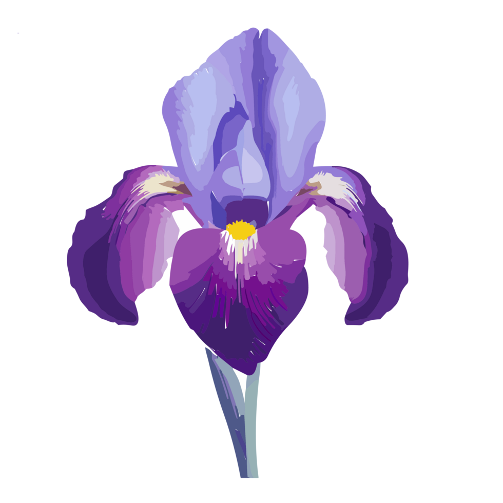 Iris flower transparent background,Ai Generative 27434260 PNG