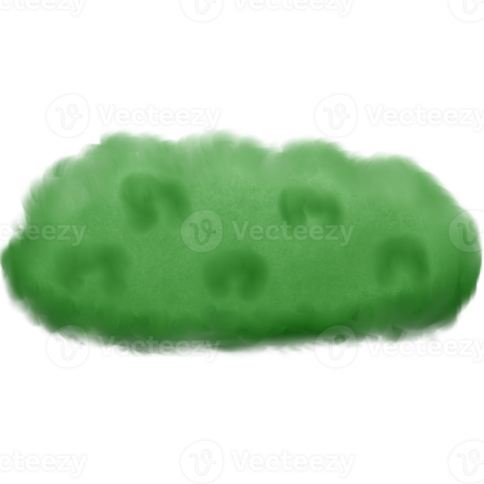 Green grass on the ground isolated on transparent background png