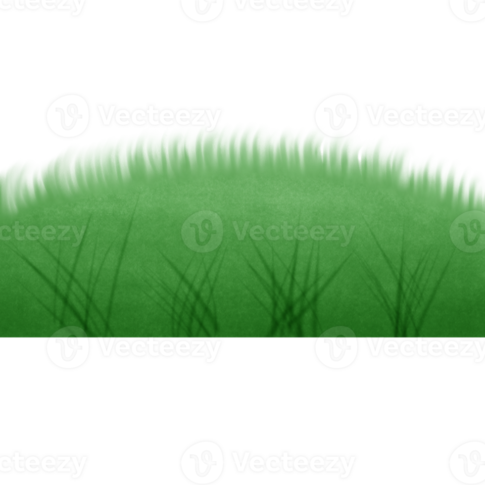 Green grass on the ground isolated on transparent background png