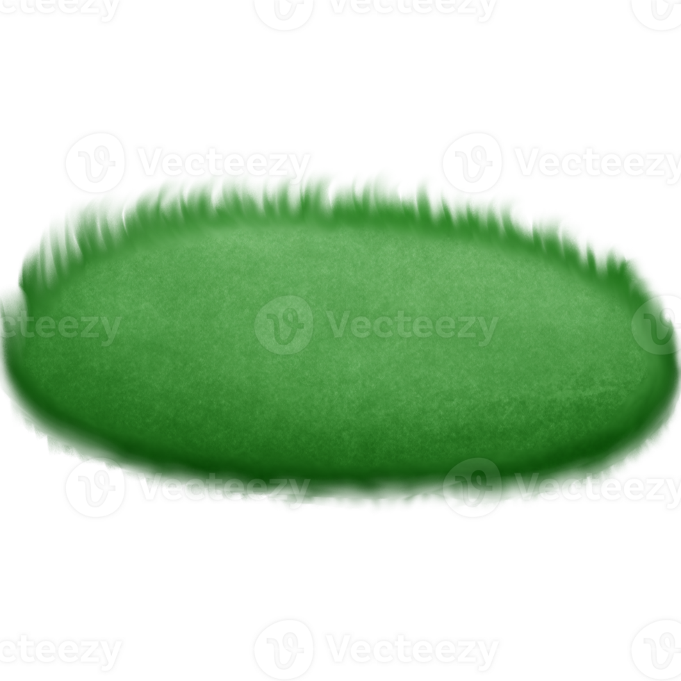 Green grass on the ground isolated on transparent background png
