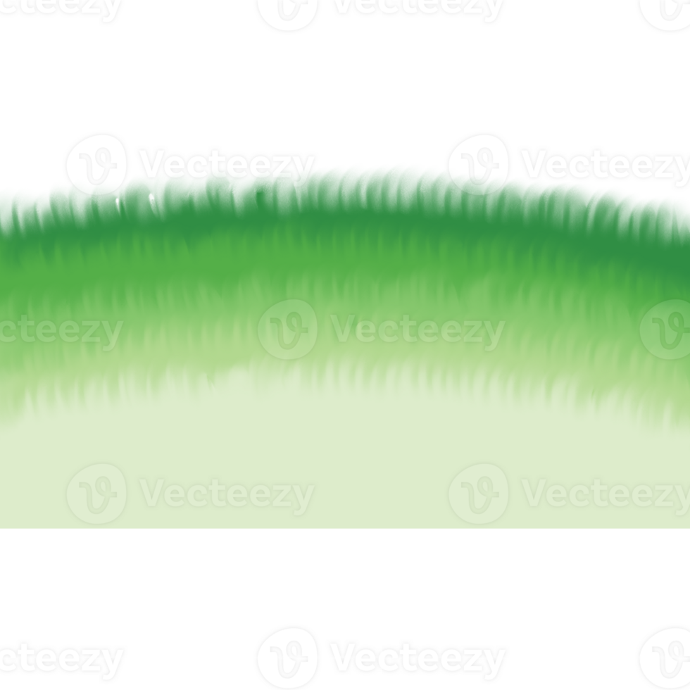 Green grass on the ground isolated on transparent background png