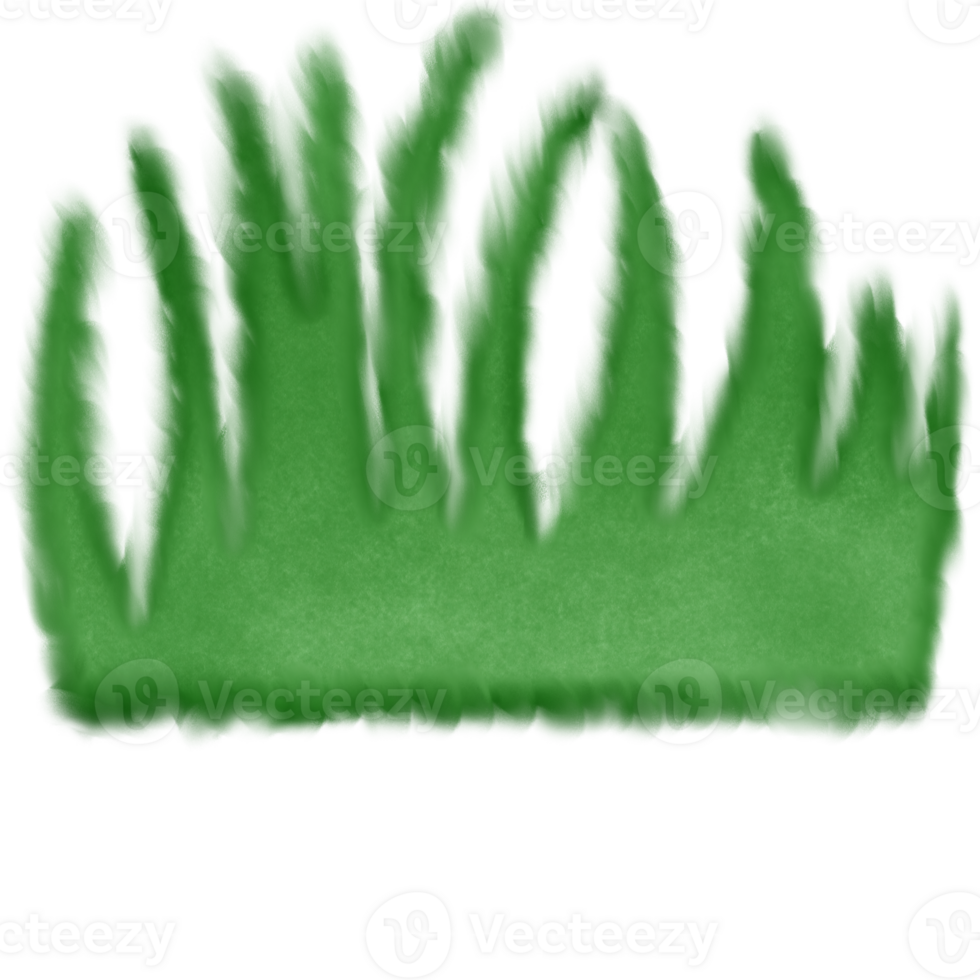 Green grass on the ground isolated on transparent background png