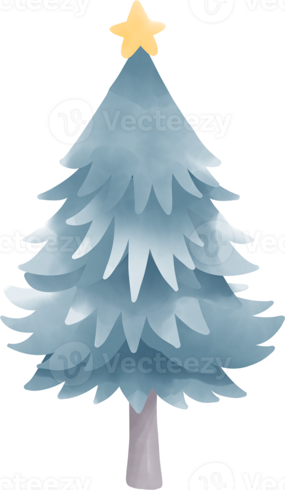 Christmas tree watercolour element png