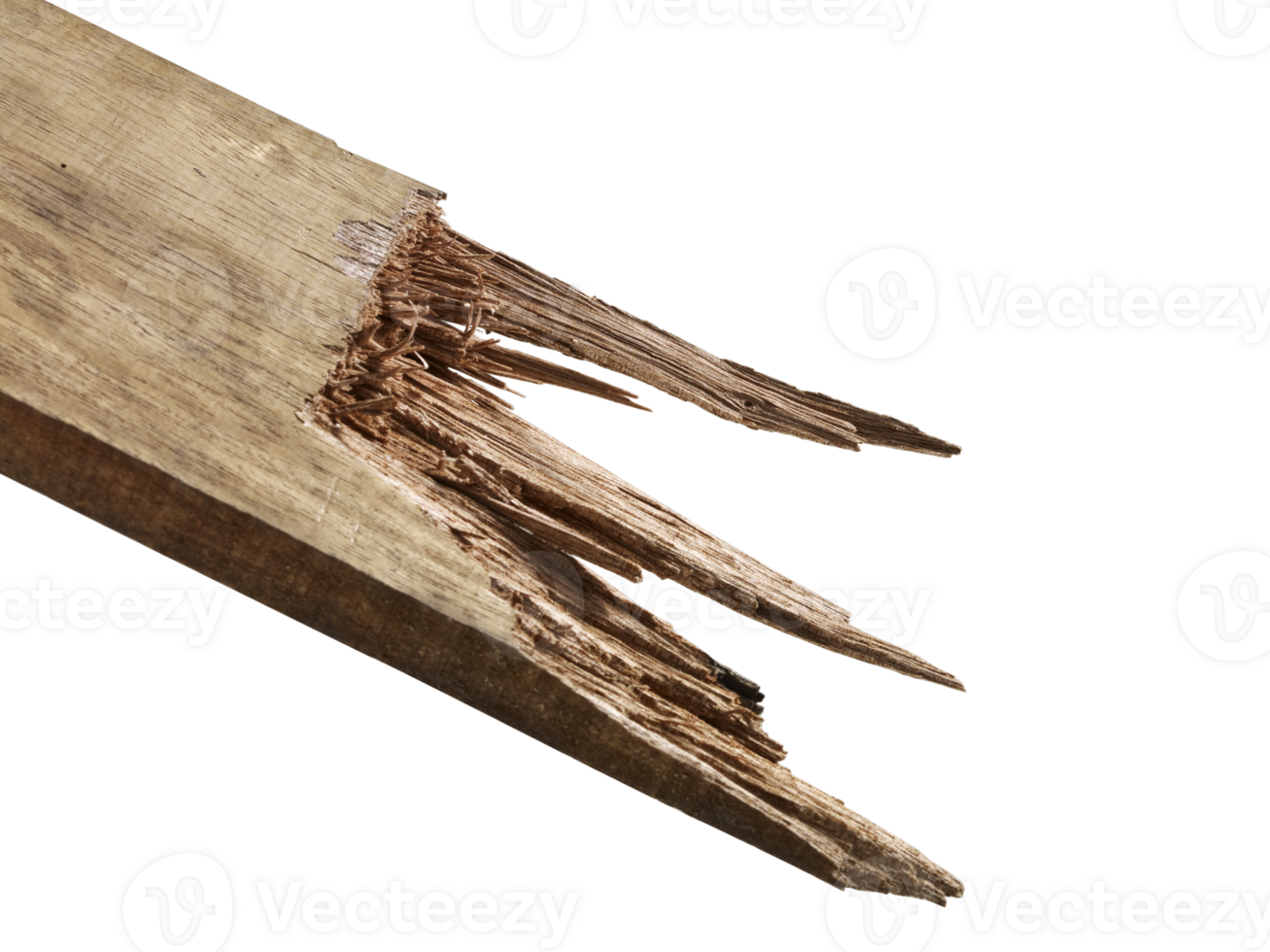 tree branch stick 18927714 PNG