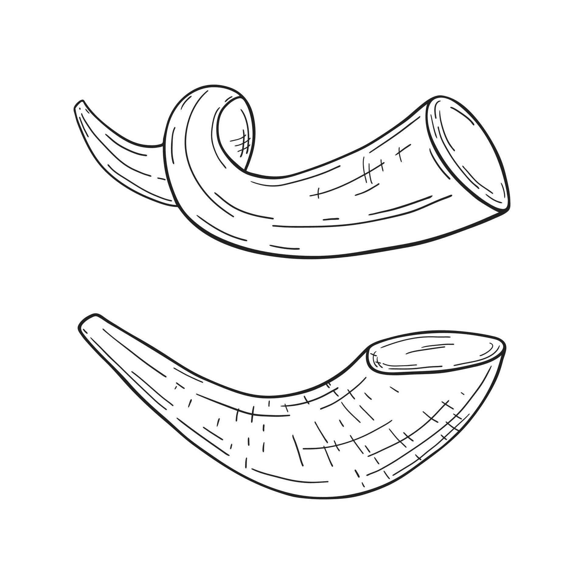 Hand drawn horn of Rosh Hashanah shofar. Jewish New Year symbol