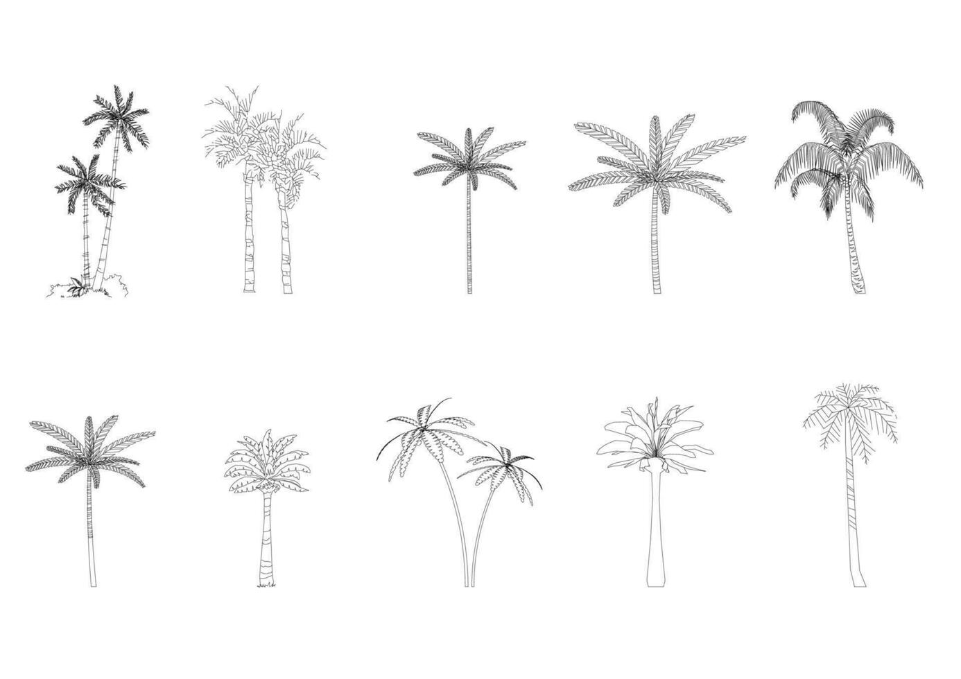 tree line drawing side view graphics vector