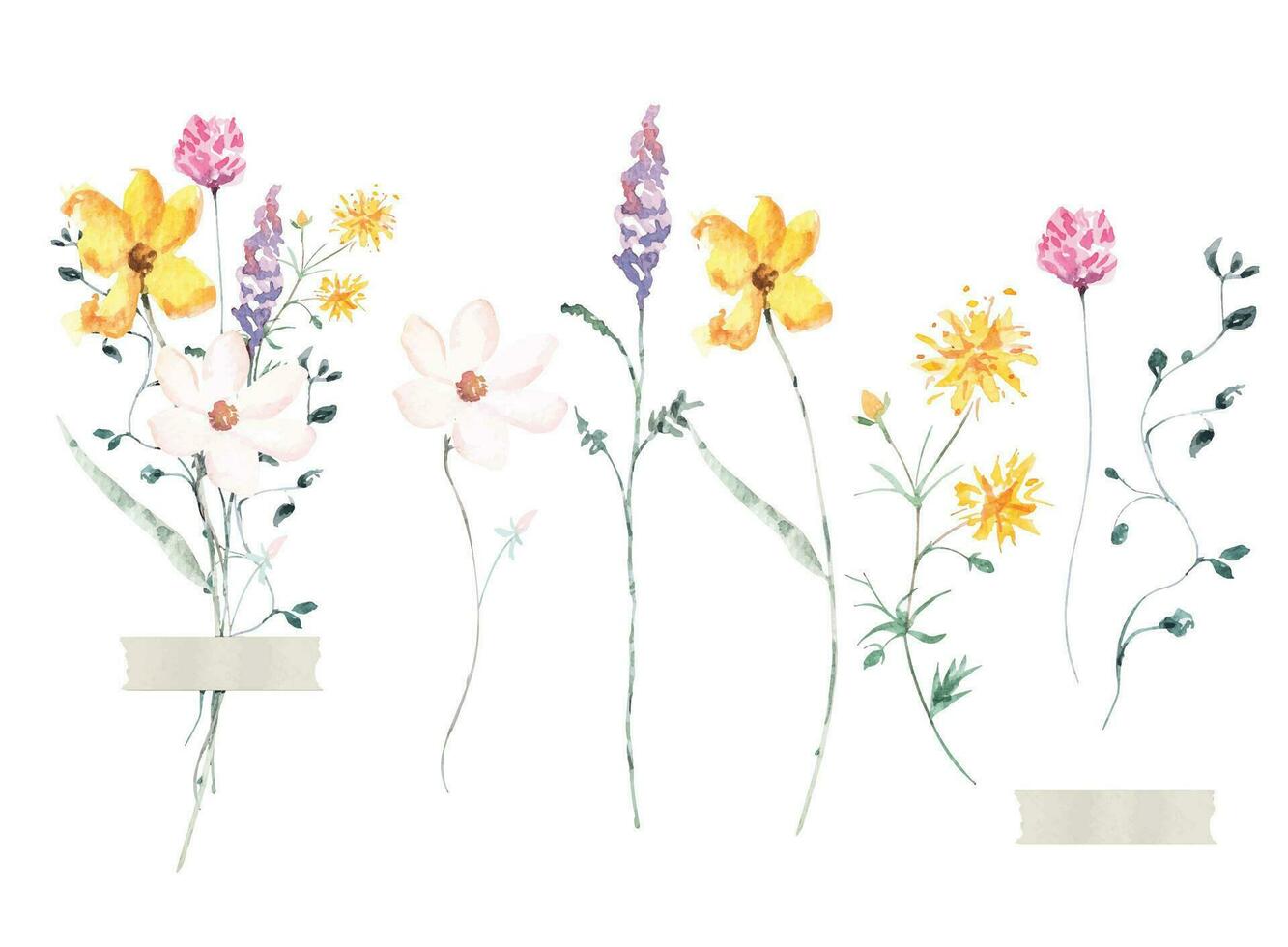 Watercolor wild flower bouquet.Botanical floral.Herbs, weed, wild plants, blooming flower. vector