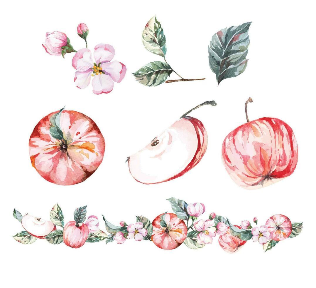 Apple border.Fruit border.Botanical floral rim, for cards, wedding.Red apple with watercolor. vector