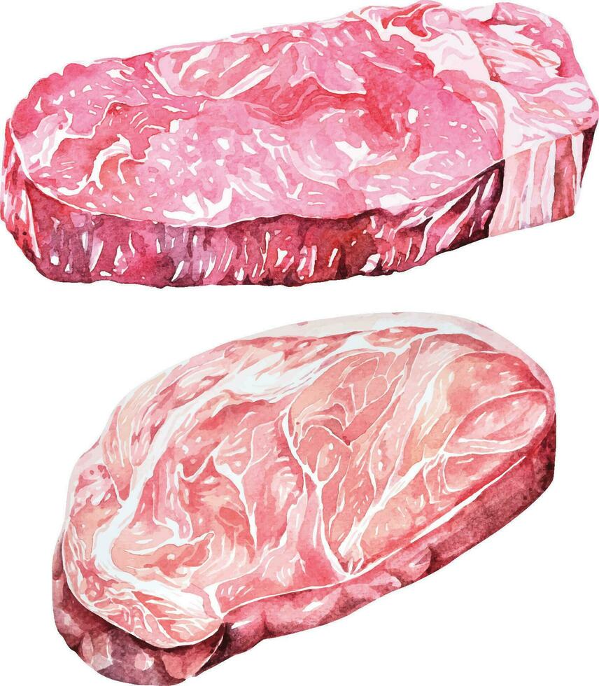 Raw beef steak.Pork painted with watercolor.Sirloin raw materials for cooking.Meat steak. vector