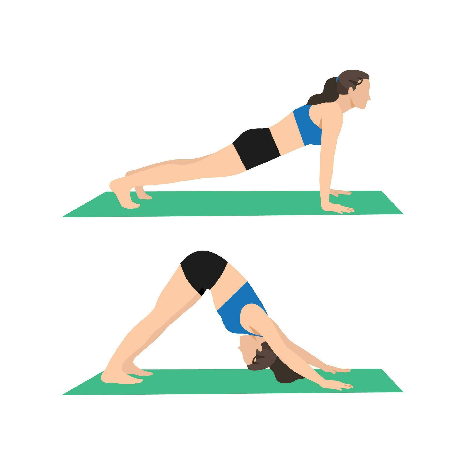 Woman doing Renegade row with downward dog tap. Plank to downward dog