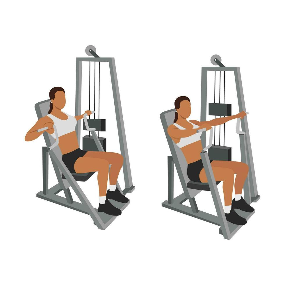 Woman doing Hammer strength machine. Seated chest press exercise. Flat vector illustration isolated on white background. Workout character