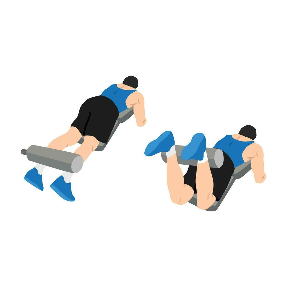 Man doing Lying leg curls exercise. Flat vector illustration isolated on white background