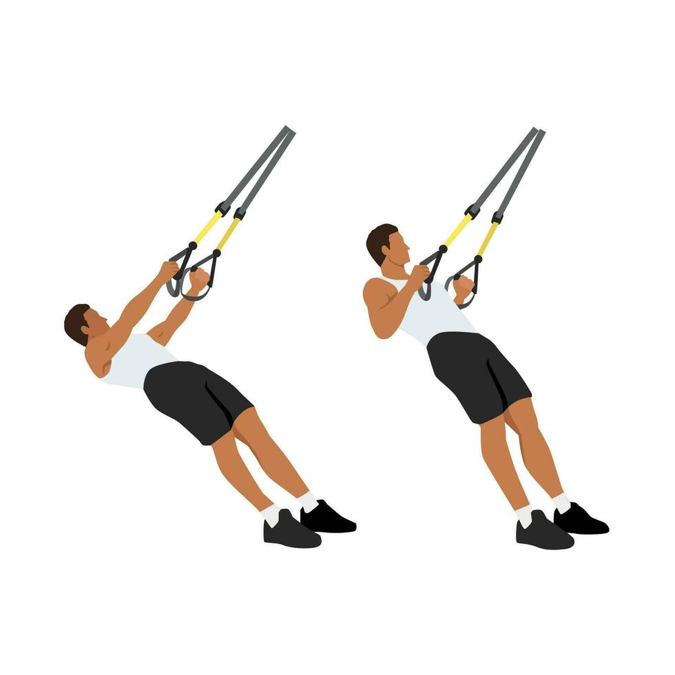 hombre haciendo trx suspensión Correa filas ejercicio. plano vector ilustración aislado en blanco antecedentes