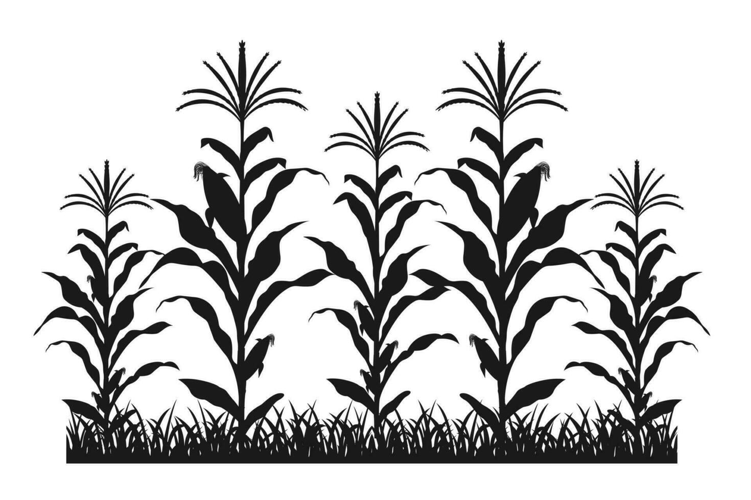 Maize field silhouette. Corn farm black vector illustration. Cultivation of crops.