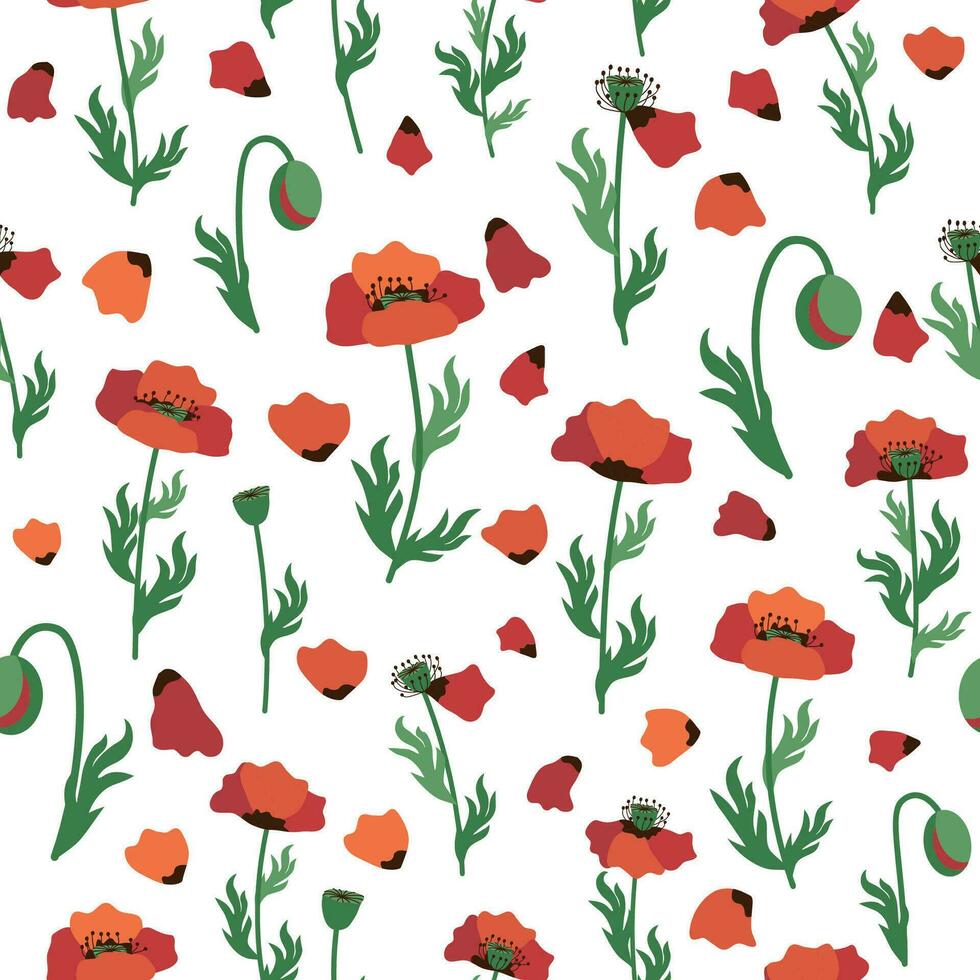 Summer seamless pattern with bright red poppy flowers and poppy pods. Field, meadow of poppies vector