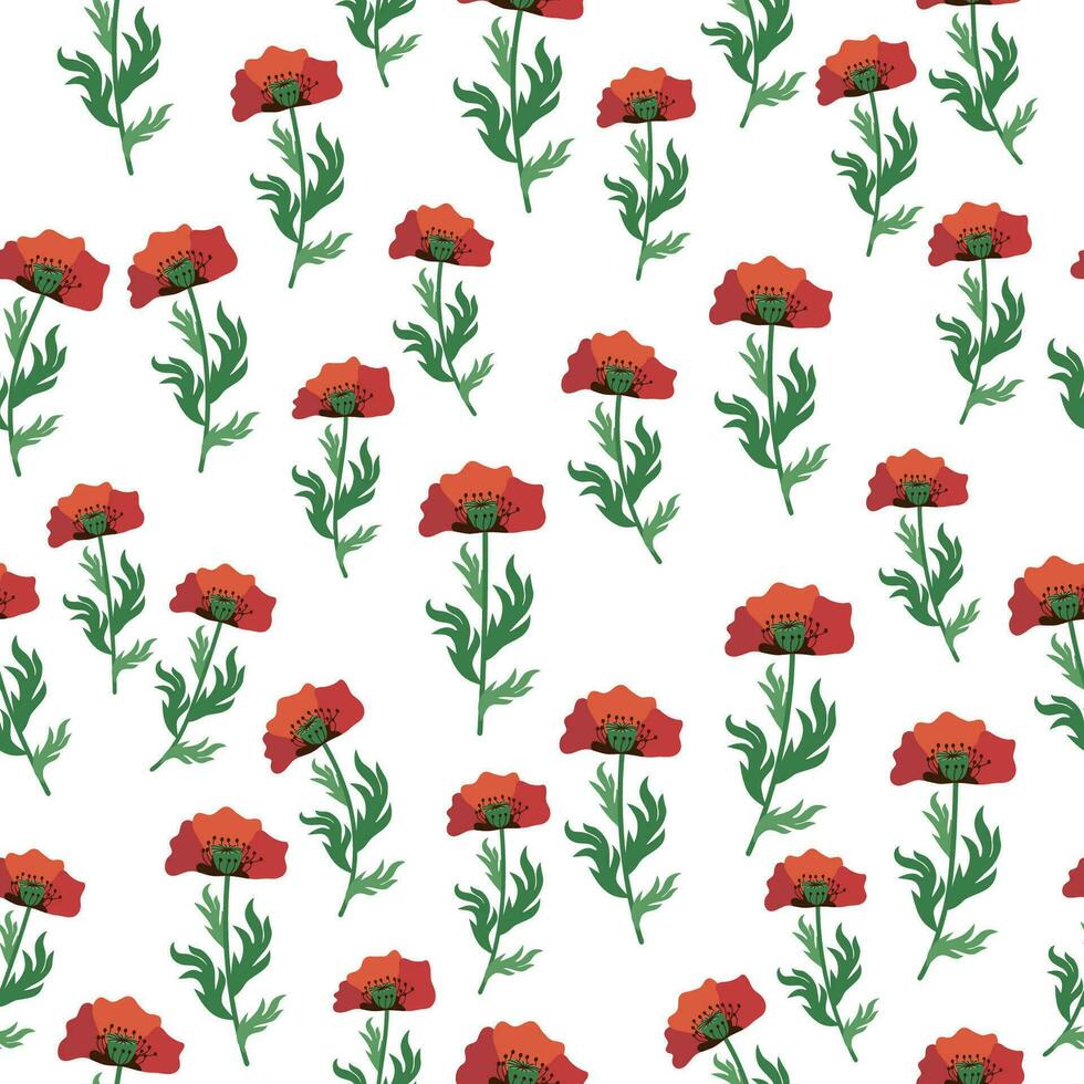 verano sin costura modelo con brillante rojo amapola flores y amapola vainas campo, prado de amapolas vector