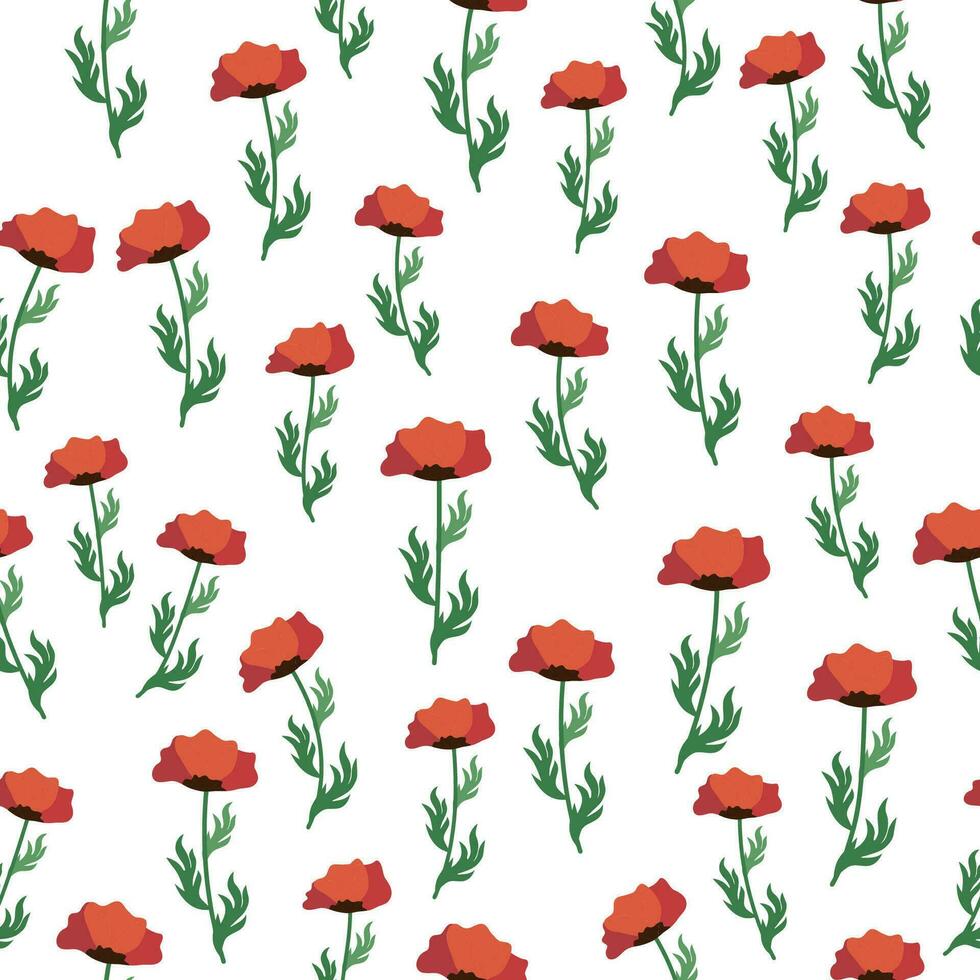 Summer seamless pattern with bright red poppy flowers and poppy pods. Field, meadow of poppies vector