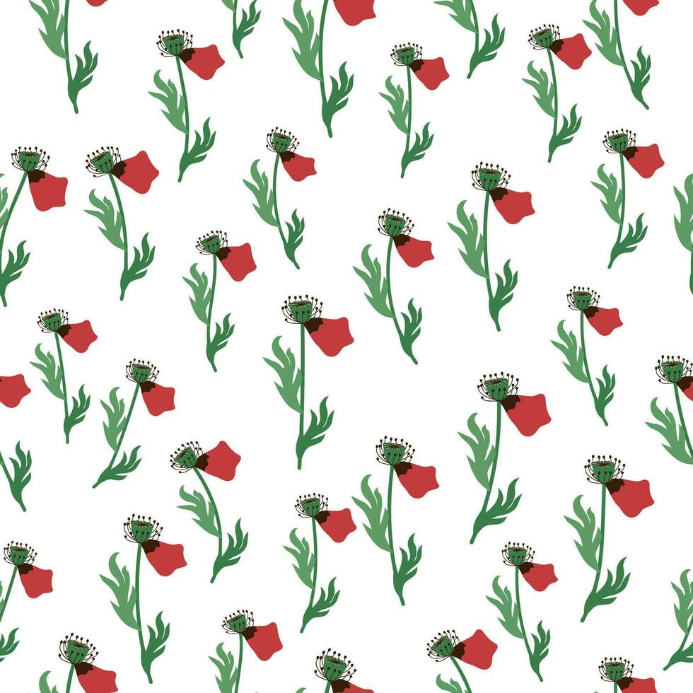 Summer seamless pattern with bright red poppy flowers and poppy pods. Field, meadow of poppies vector