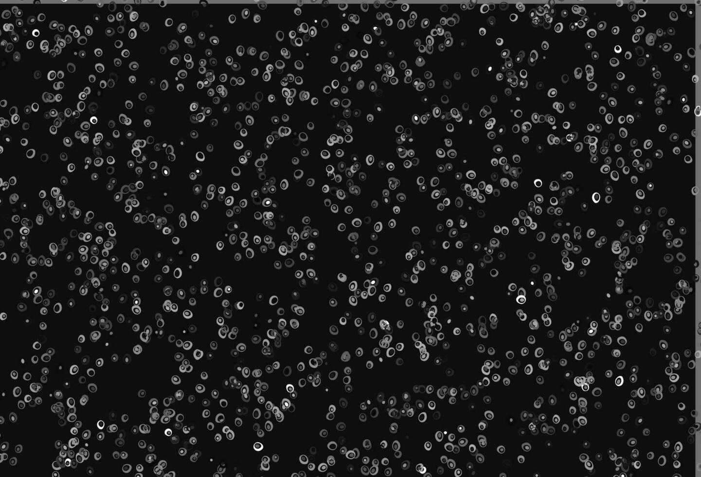 Light Silver, Gray vector backdrop with dots.