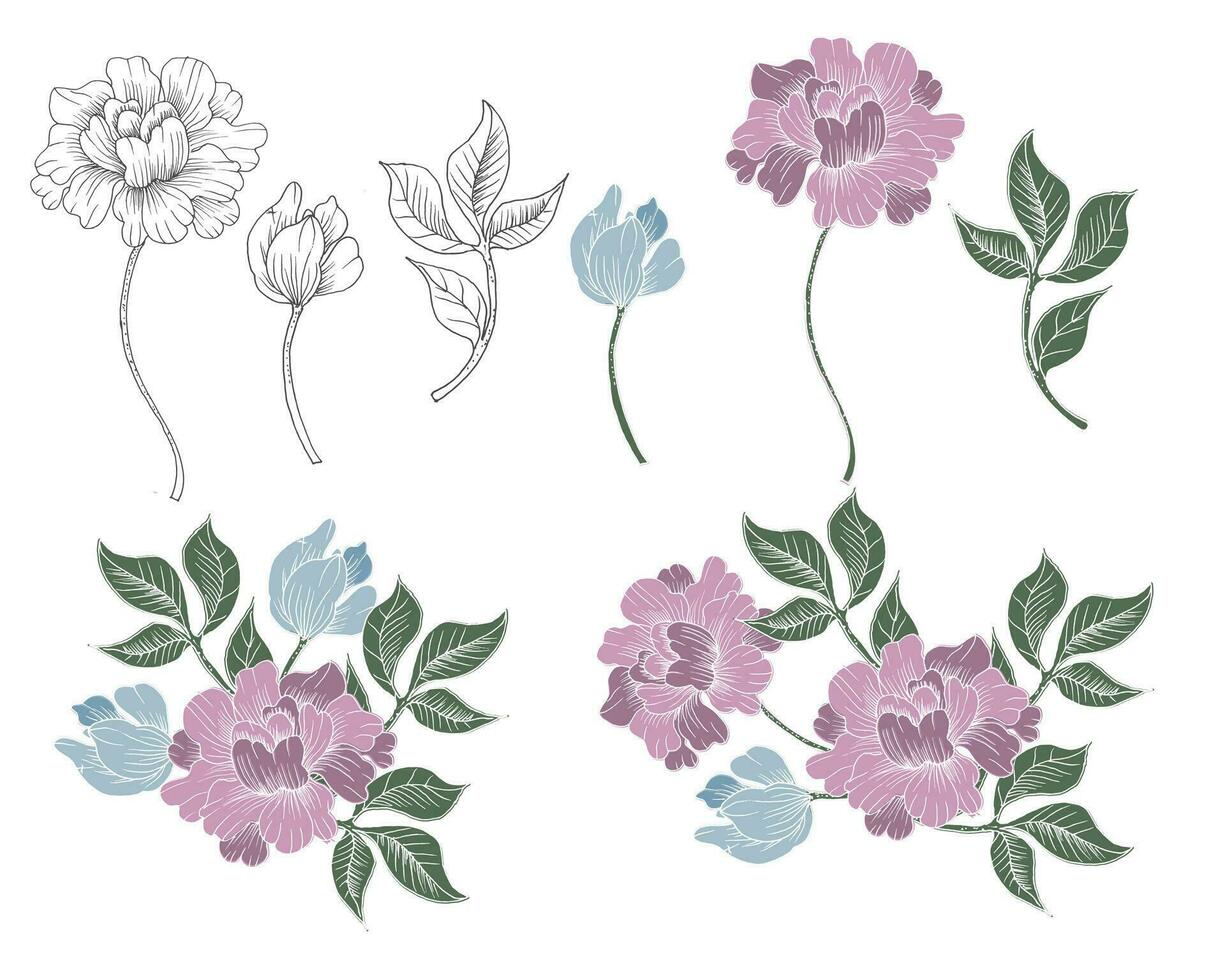 Hand Drawn Rose Flower Element vector