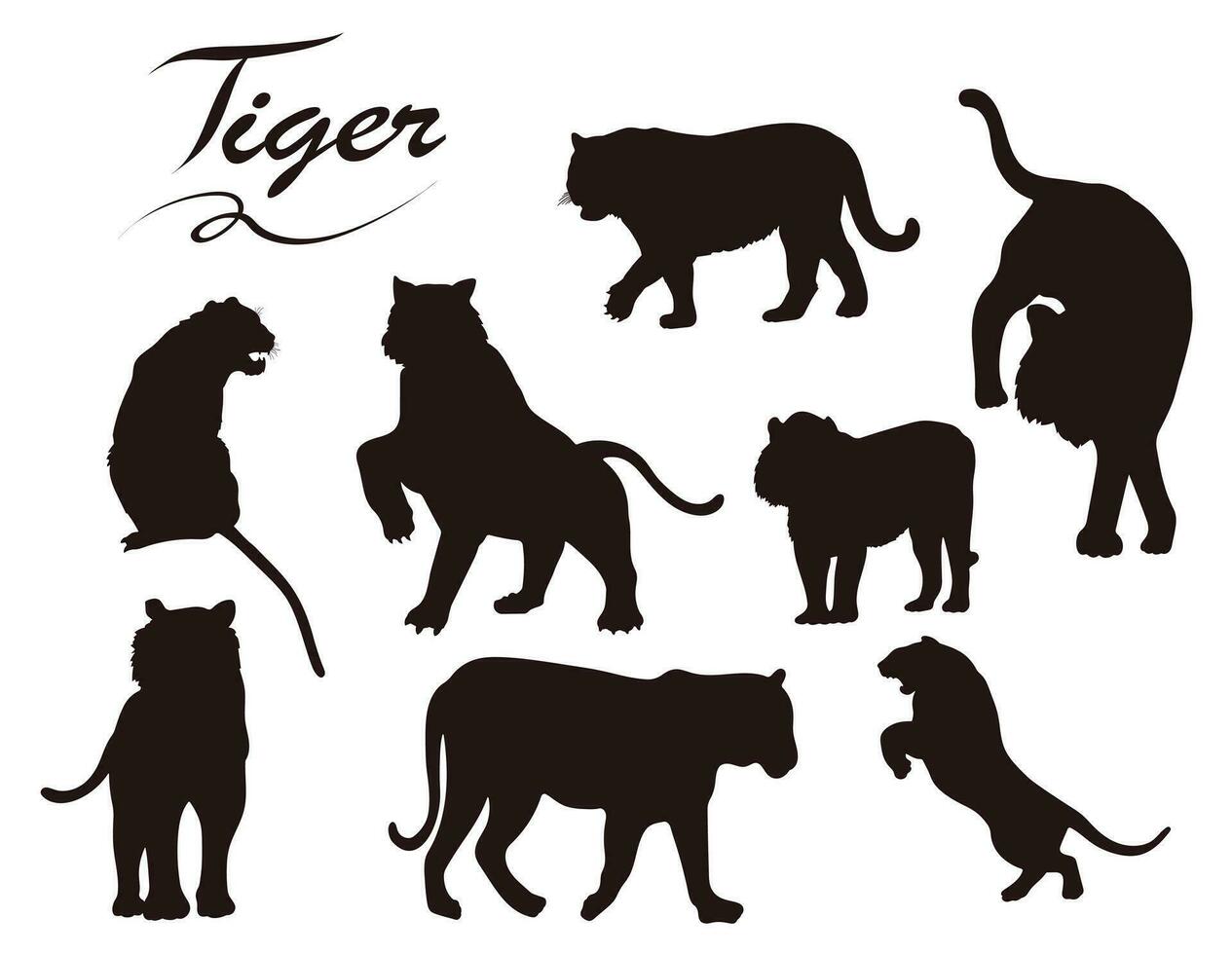Vector tiger silhouette on white background
