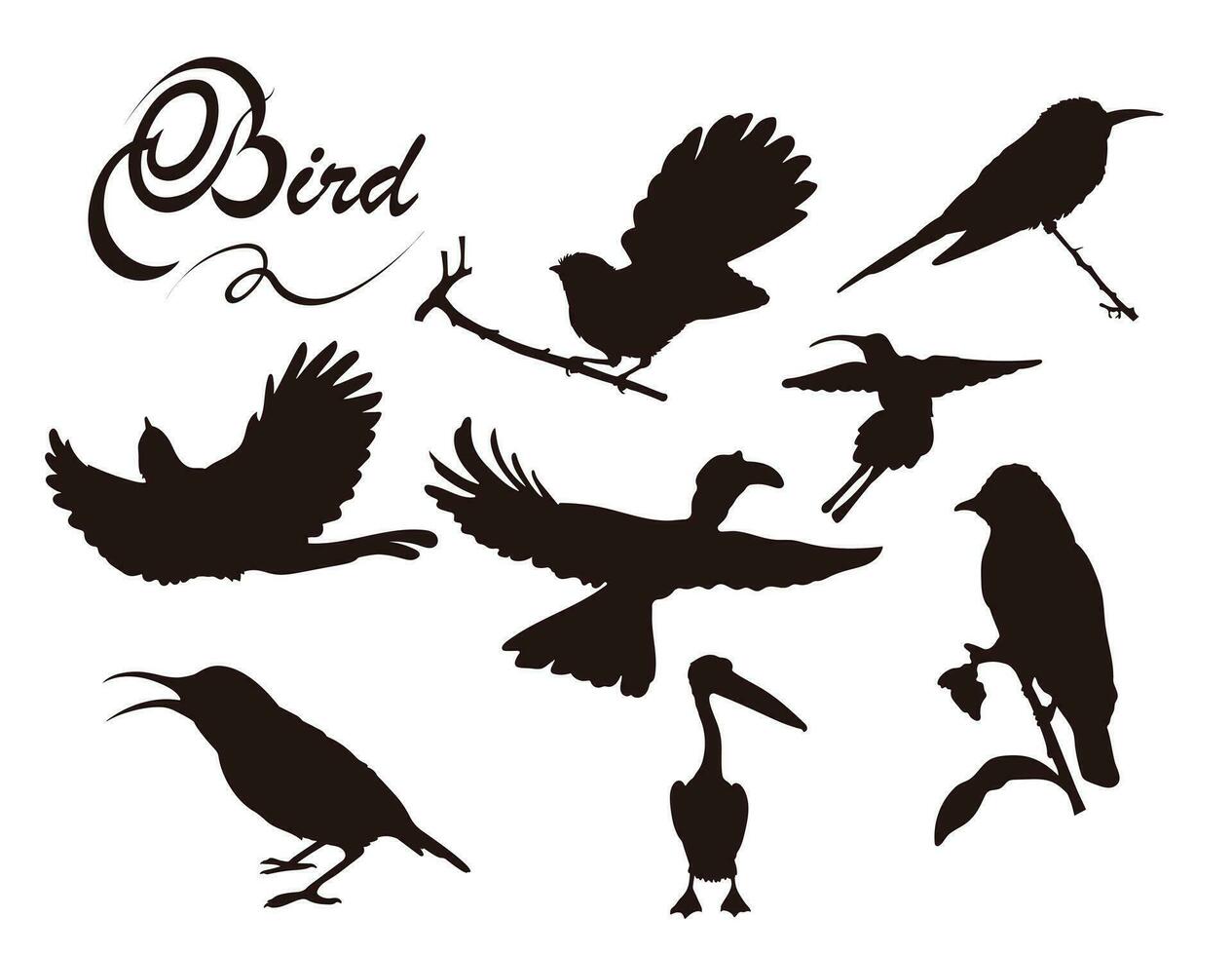 Bird silhouettes with many options, Birds flying, On the branch, Bird lovers vector
