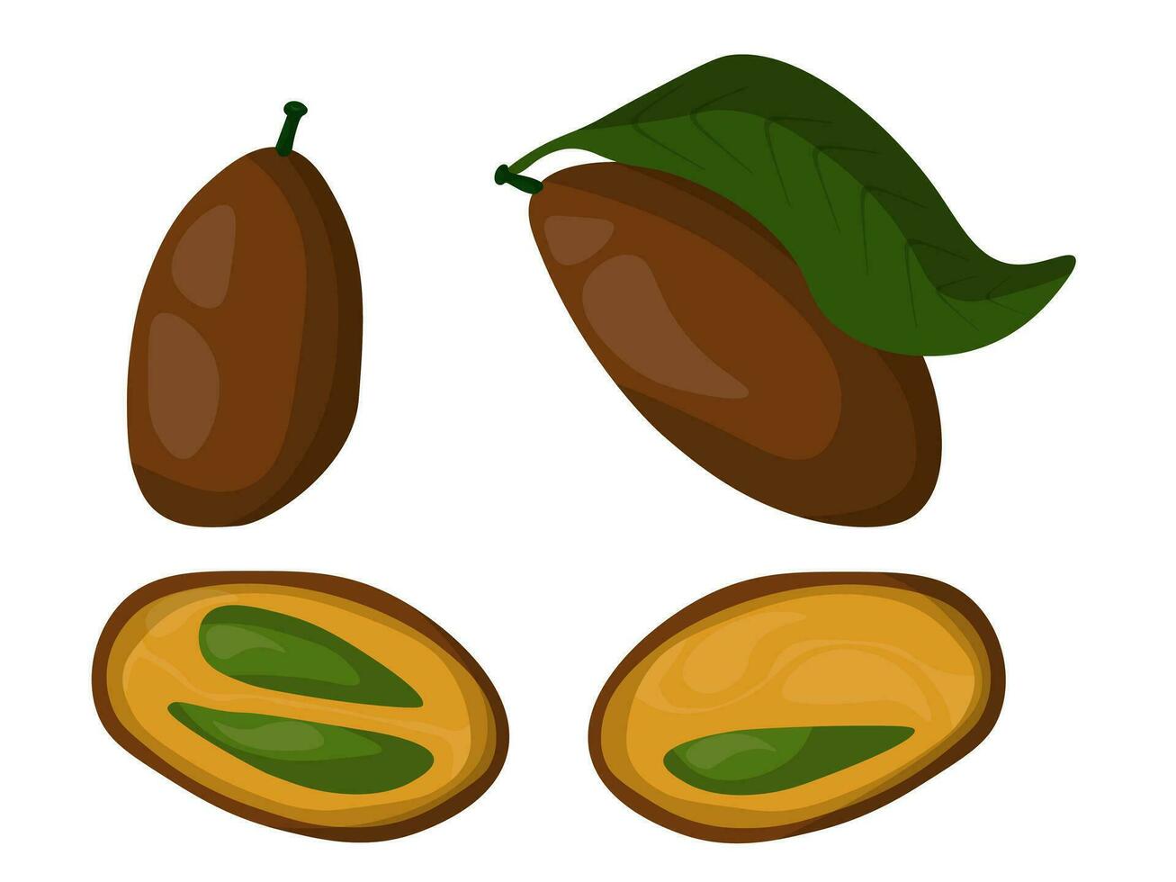 set vampi exotic fruit of dark color with bright seeds, Clausena plant with juicy large leaves vector