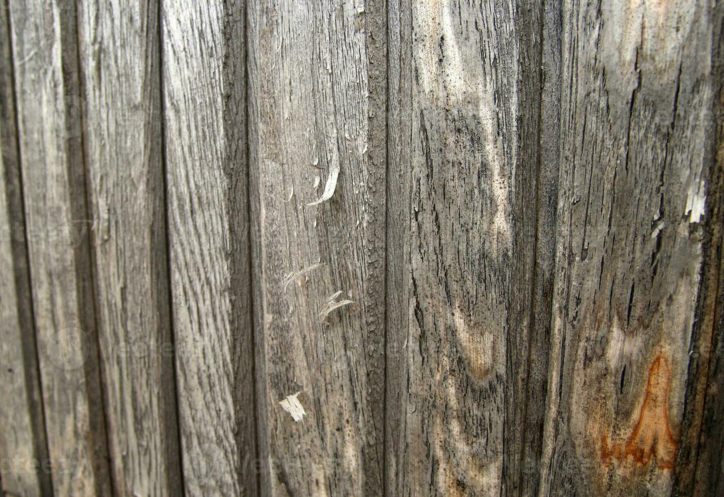 Wooden fence texture photo