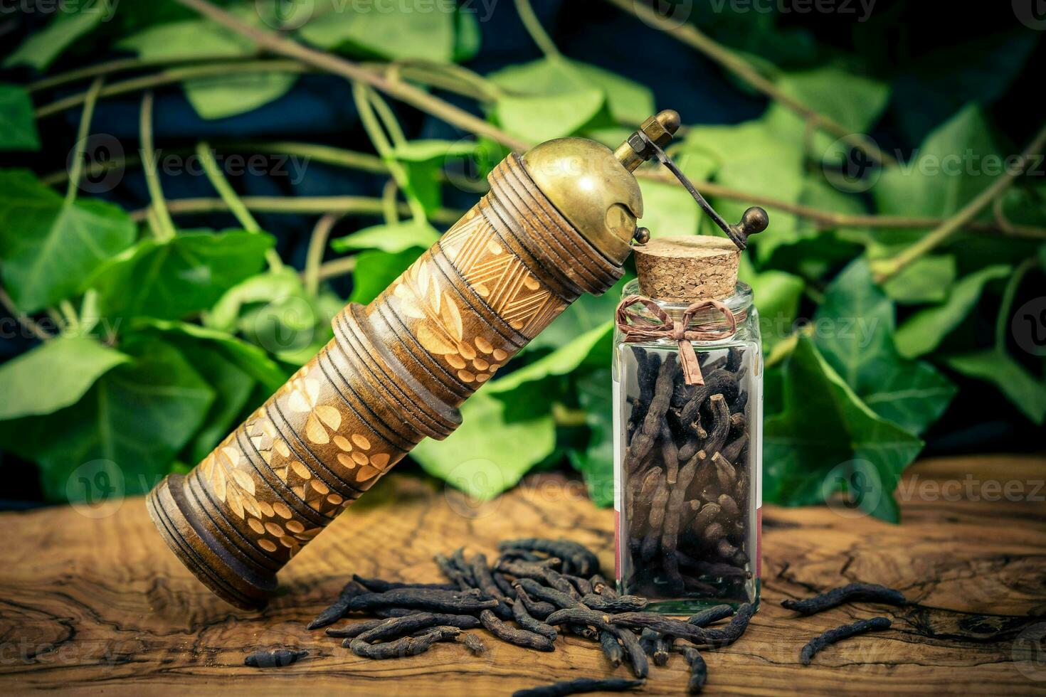 Black long pepper xylopia aethiopica on olive wood photo