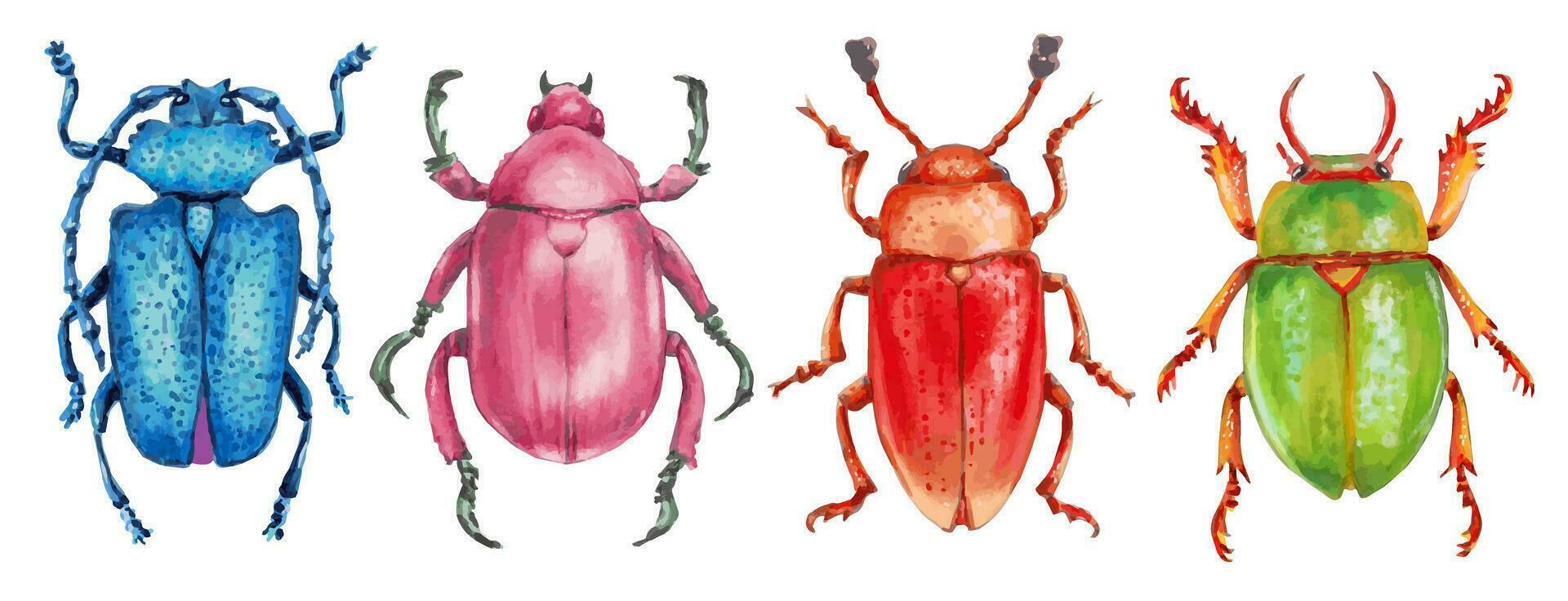 Set of insect beetles. Animal beetles are blue, pink, orange, green. Glossy surface. Entomology, the study of insects. Hand drawn illustration with markers. vector