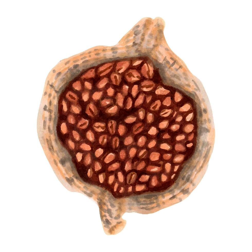 Coffee beans in a woven canvas bag. Top view. Flavored drink with caffeine. International coffee day. Watercolor and marker illustration. Isolated hand drawn art. vector