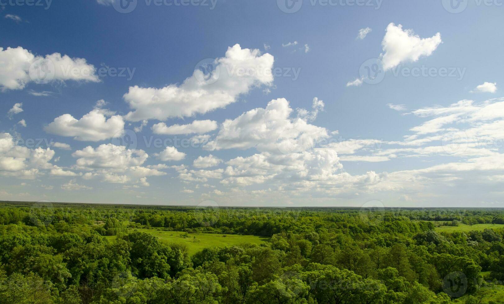 brillante verano cielo con blanco nubes terminado verde bosque foto