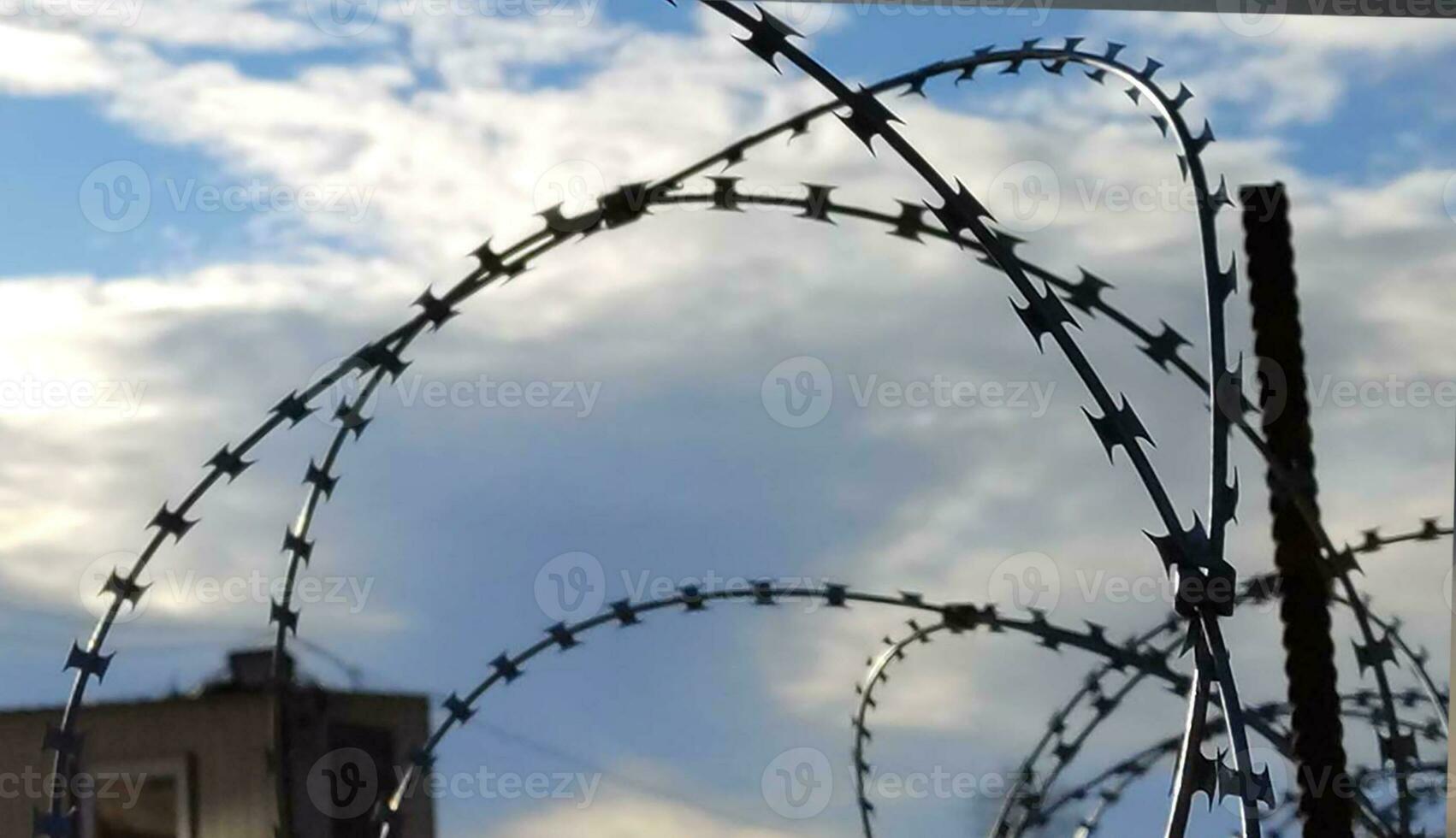 Barbed wire fence, prison and freedom conceptual background 27444680