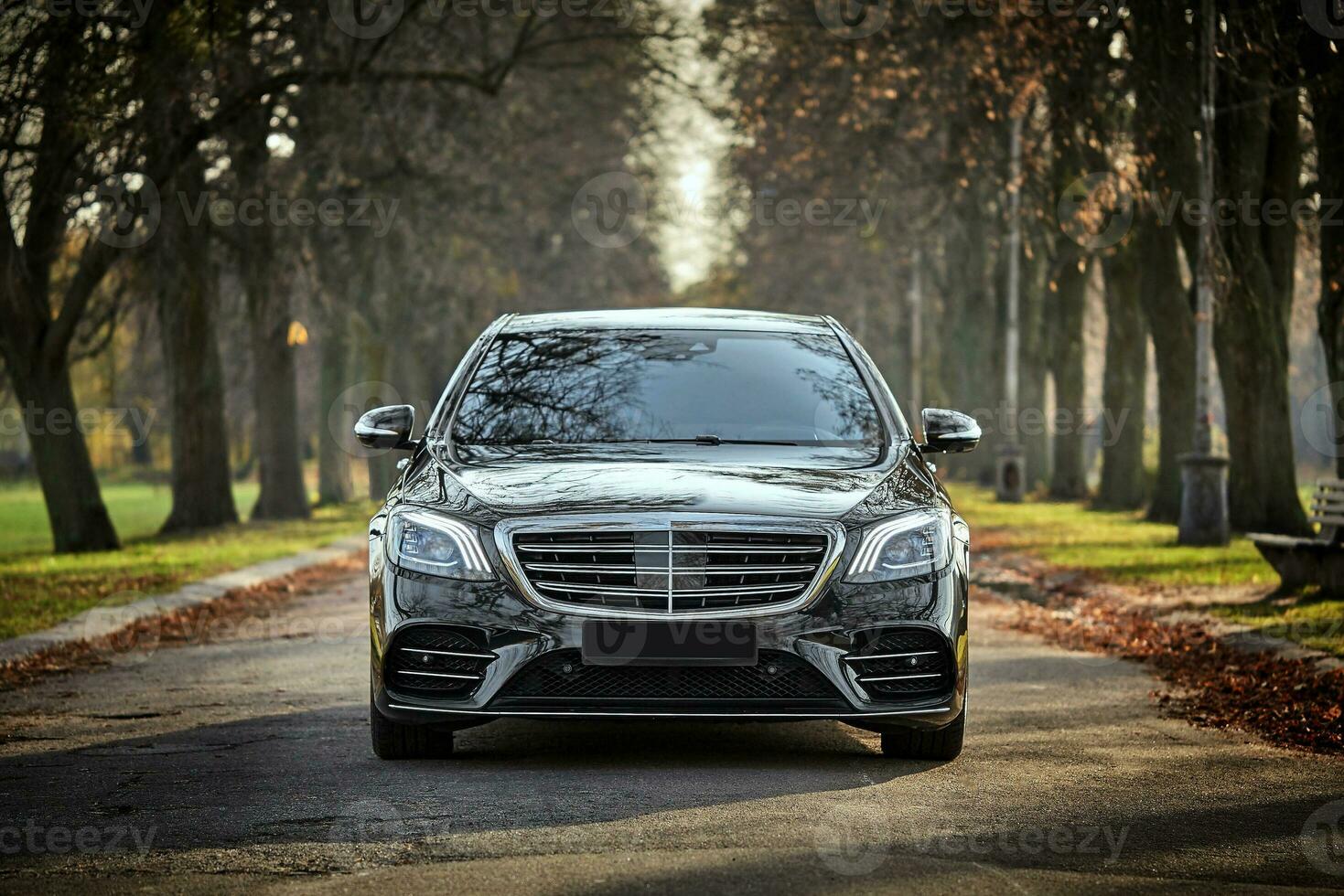 Modern car driving through the woods background,  luxury city car wallpaper photo