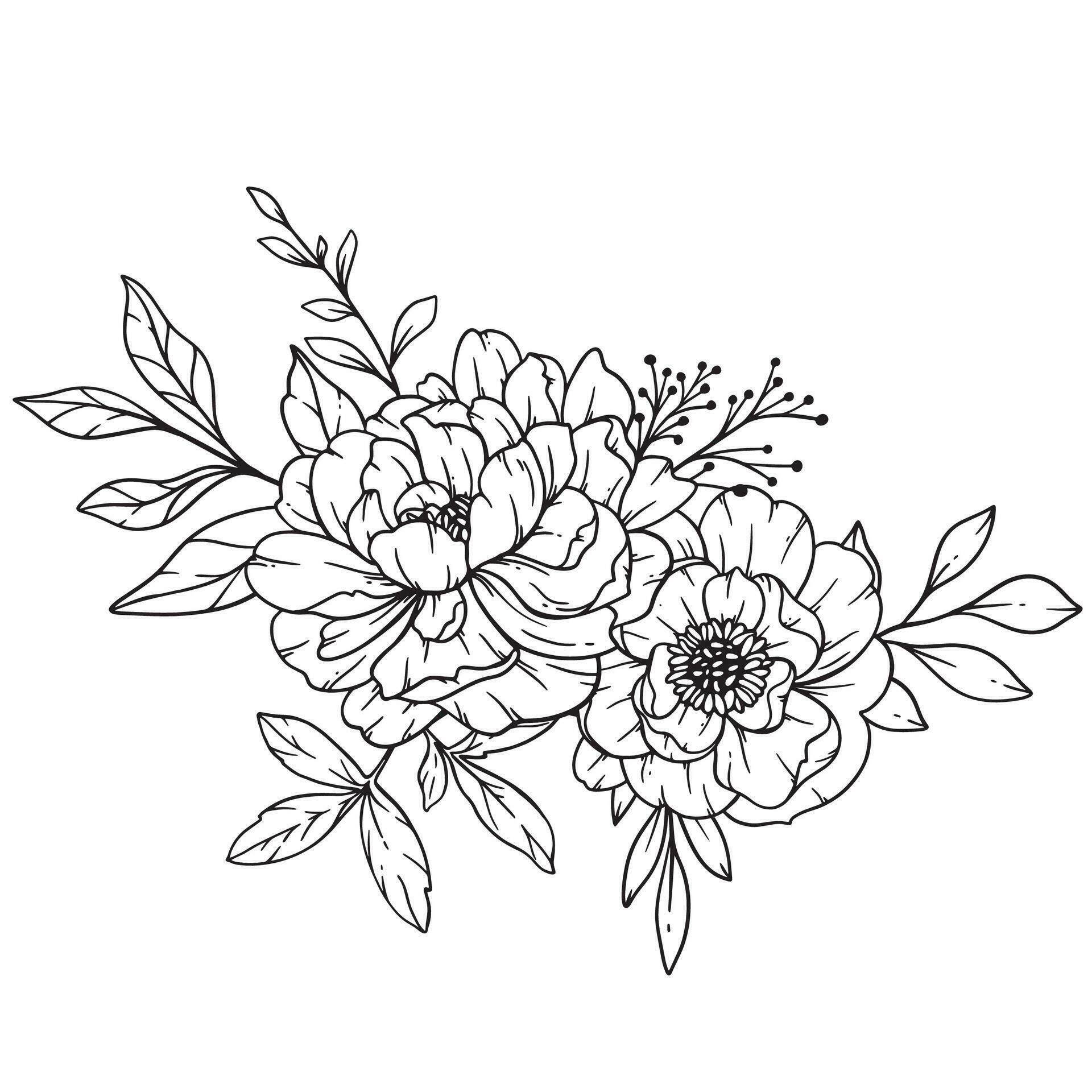 Peony Line Art, Fine Line Peony Bouquets Hand Drawn Illustration ...