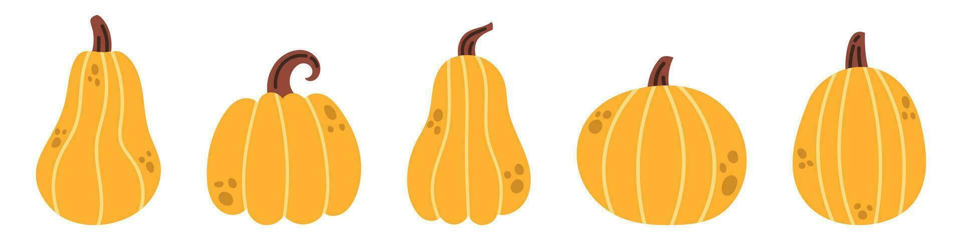 Vector autumn pumpkin set. Thanksgiving day decorative design. Collection of pumpkin clipart in flat design. Autumn vegetables. Fall pumpkin harvest.