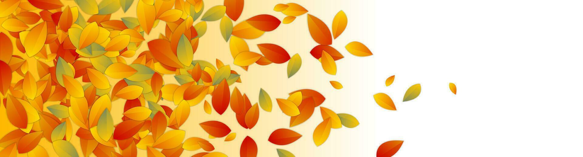 Autumn abstract banner design with colorful leaves vector