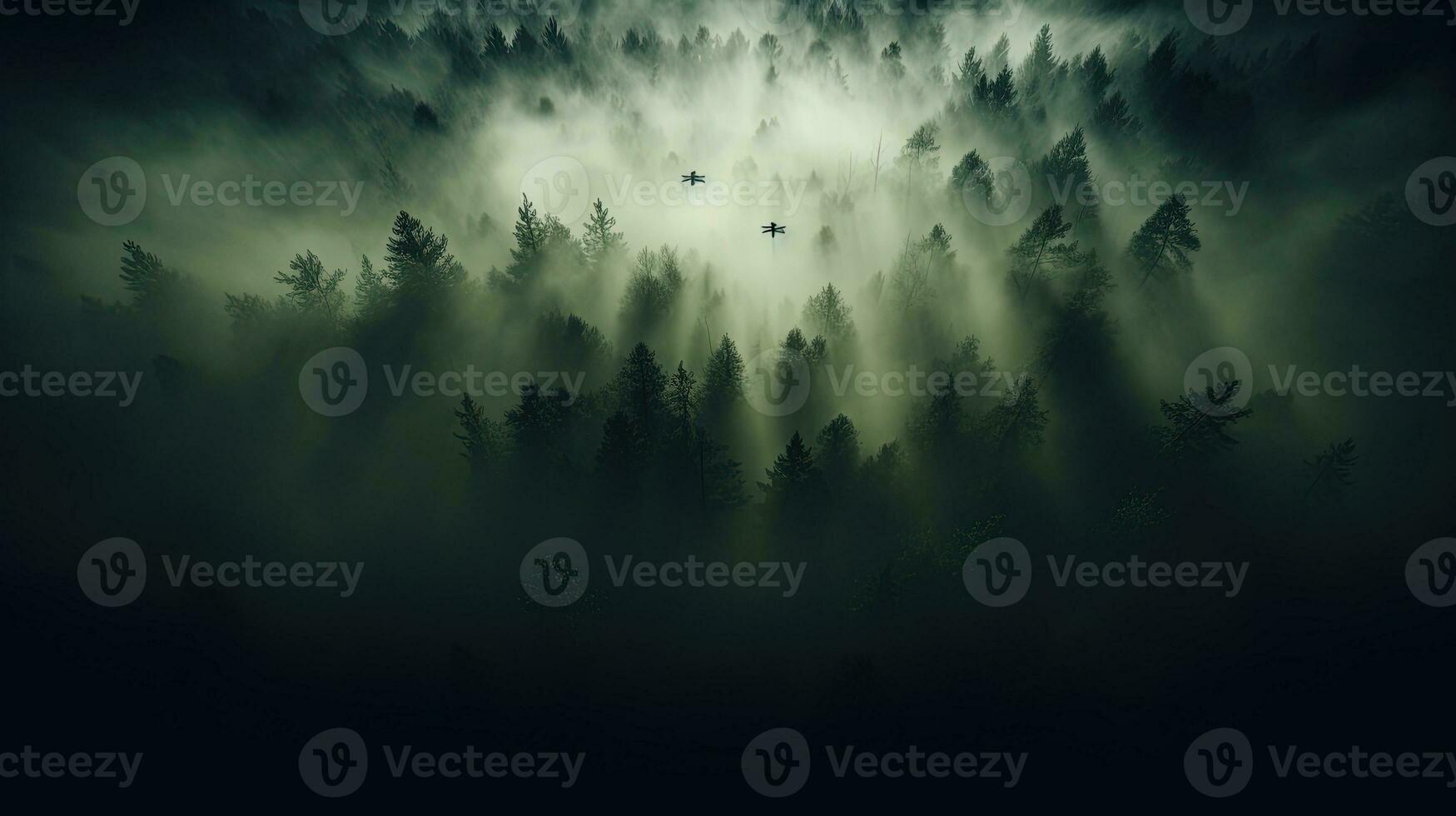Early morning sunlight illuminates thick atmospheric fog enveloping a forest of trees as viewed from above by a drone. silhouette concept photo