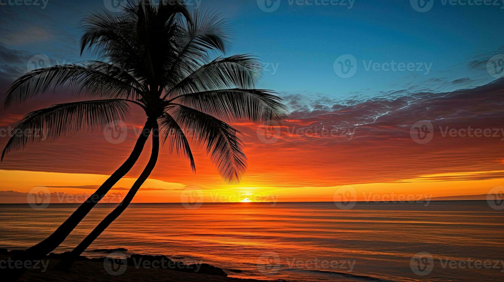 A palm tree silhouette against a vibrant sunset on Kaanapali Beach in Maui photo