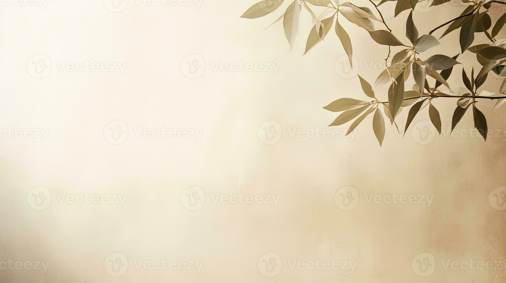 Nature s tropical leaves cast shadows and sunlight on a white wall texture for a wallpaper background creating a shadow overlay effect. silhouette concept photo